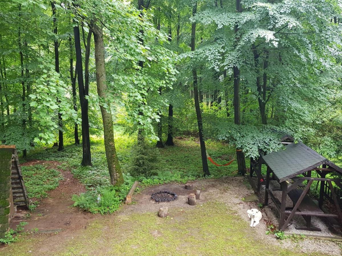 Slovak Cottage Near Bratislava In The Heart Of The Carpathians Modra Esterno foto