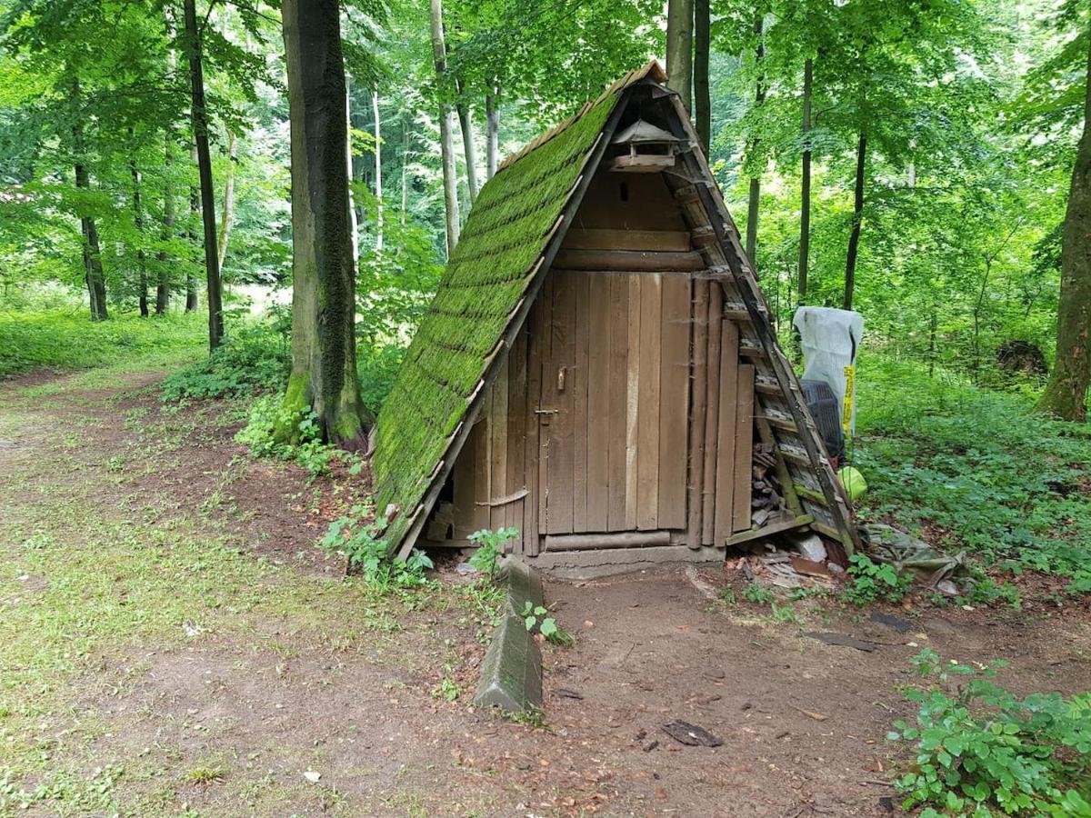 Slovak Cottage Near Bratislava In The Heart Of The Carpathians Modra Esterno foto