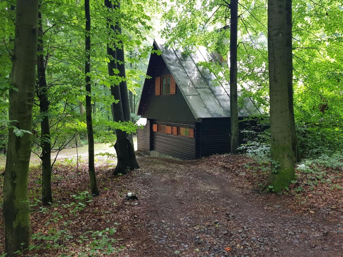 Slovak Cottage Near Bratislava In The Heart Of The Carpathians Modra Esterno foto