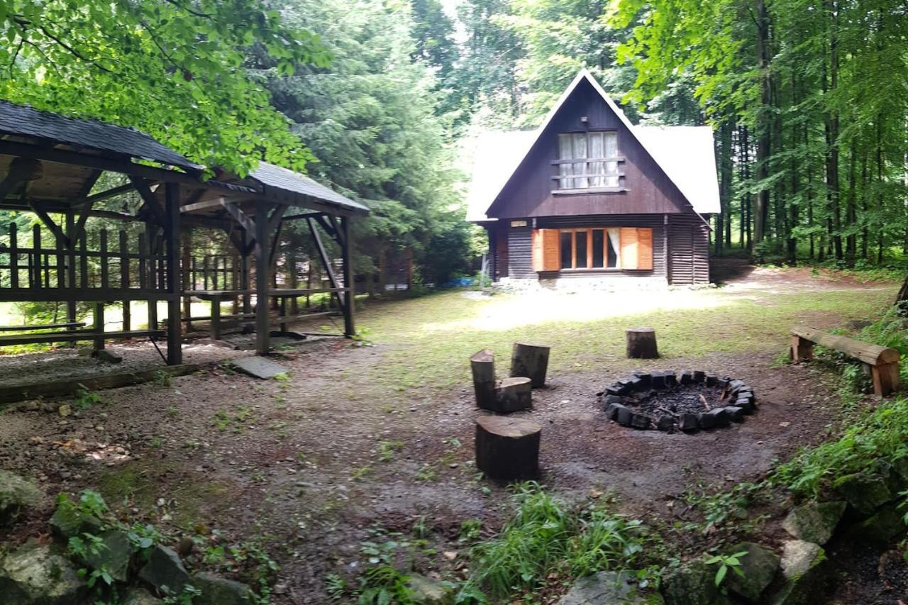 Slovak Cottage Near Bratislava In The Heart Of The Carpathians Modra Esterno foto